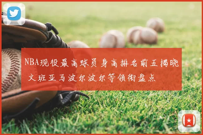 NBA现役最高球员身高排名前五揭晓 文班亚马波尔波尔等领衔盘点