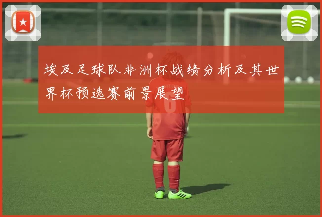 埃及足球队非洲杯战绩分析及其世界杯预选赛前景展望