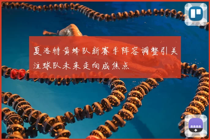 夏洛特黄蜂队新赛季阵容调整引关注球队未来走向成焦点