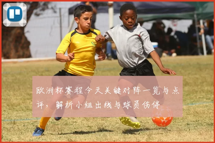 欧洲杯赛程今天关键对阵一览与点评，解析小组出线与球员伤停