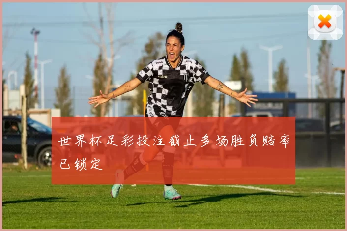 世界杯足彩投注截止多场胜负赔率已锁定